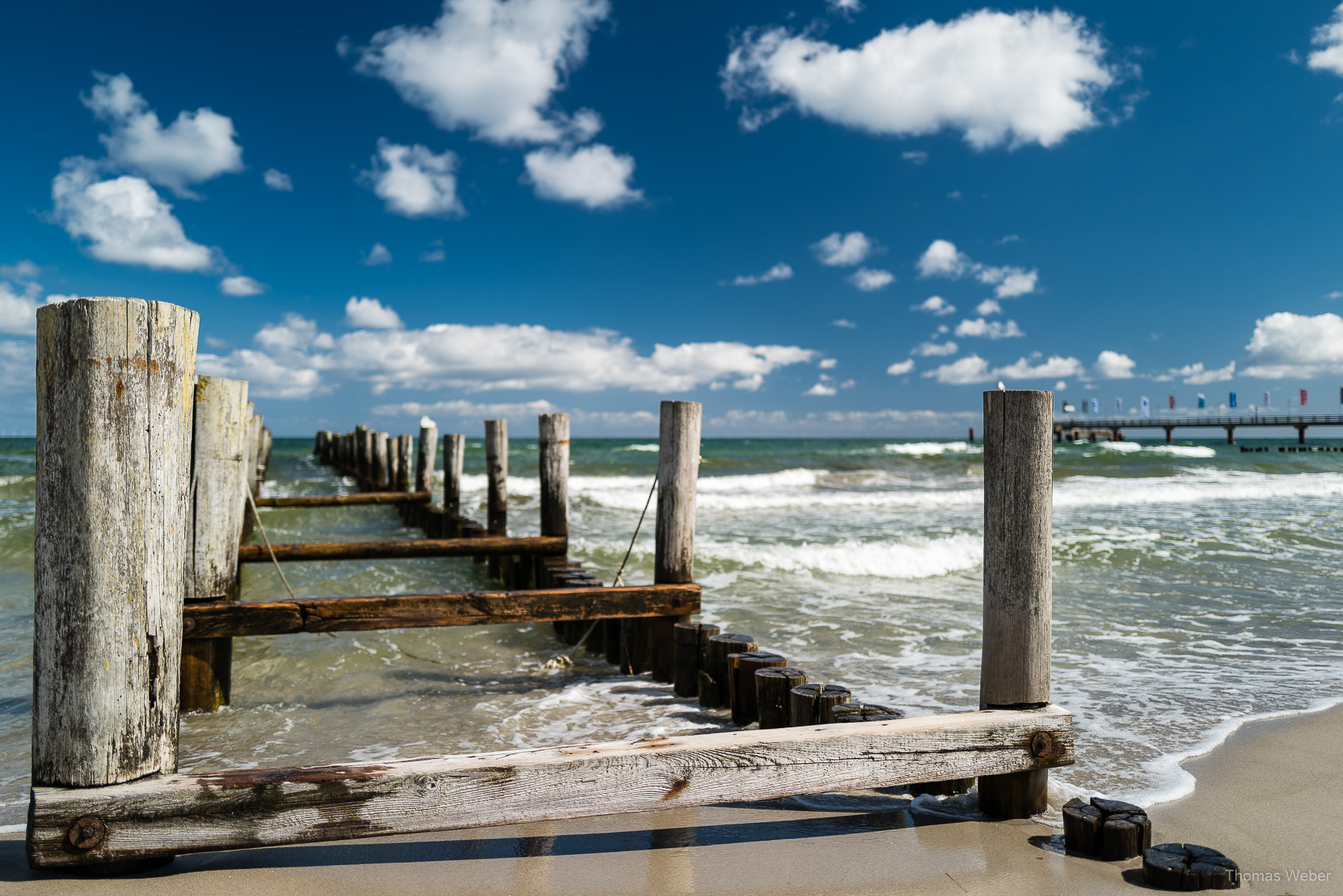 Umweltfotofestival 'horizonte zingst' 2019 an der Ostsee, Fotograf Thomas Weber aus Oldenburg