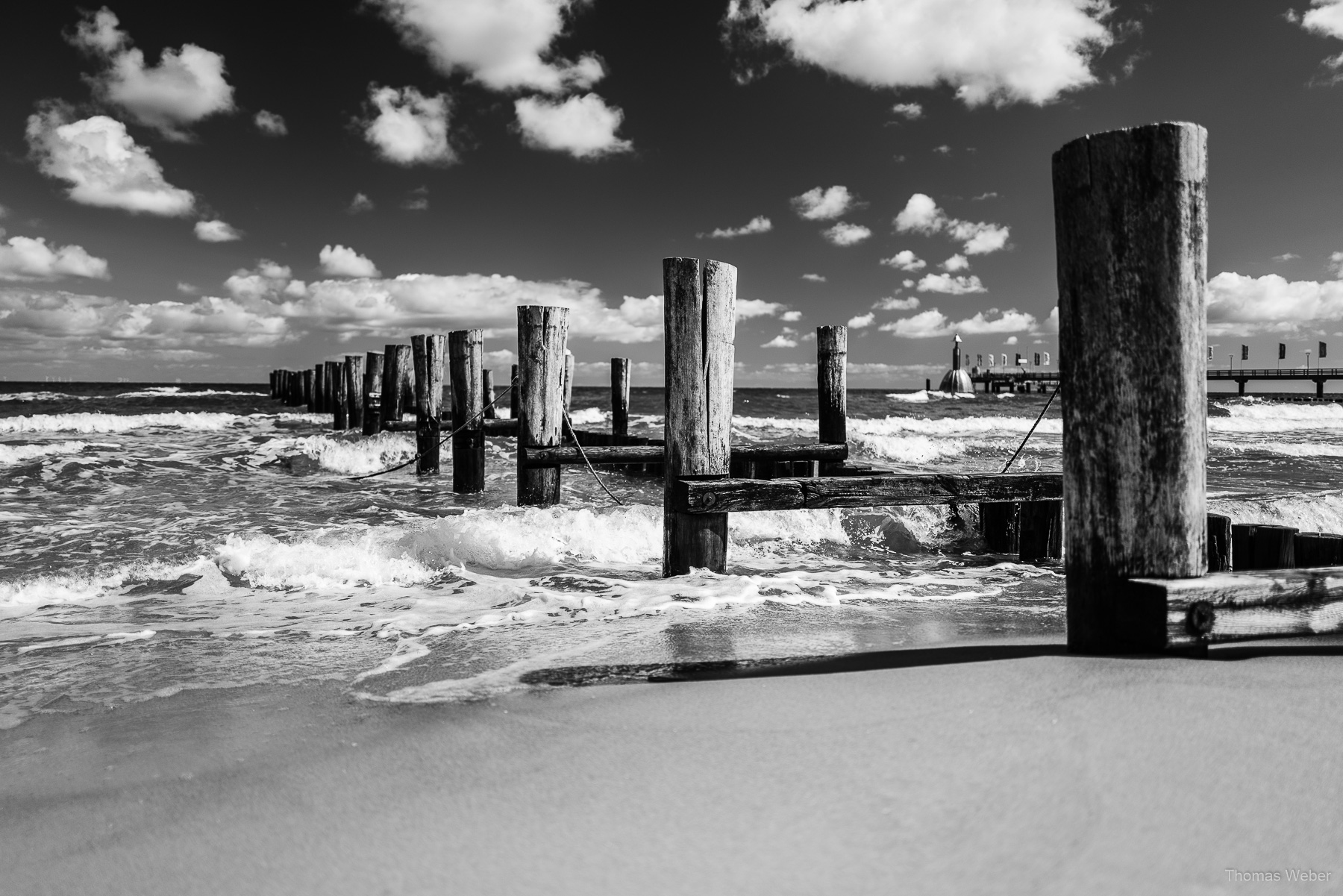 Umweltfotofestival 'horizonte zingst' 2019 an der Ostsee, Fotograf Thomas Weber aus Oldenburg