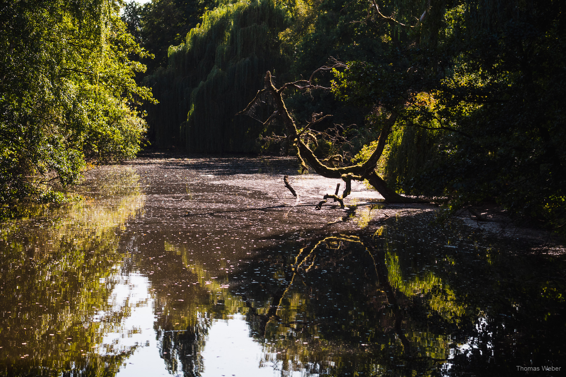 Natur an der Hunte in Oldenburg, Fotograf Thomas Weber