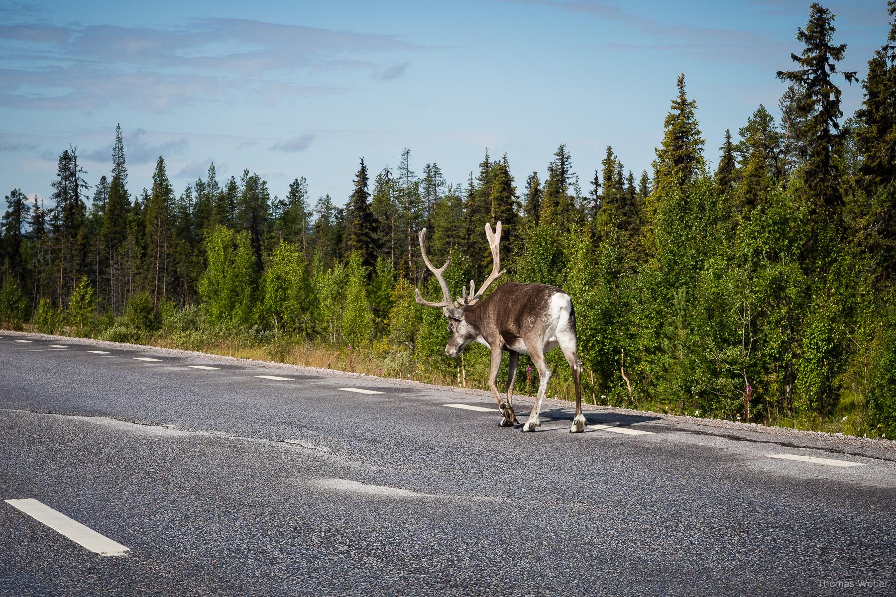 Roadtrip durch Dänemark und Schweden, Thomas Weber, Fotograf Oldenburg