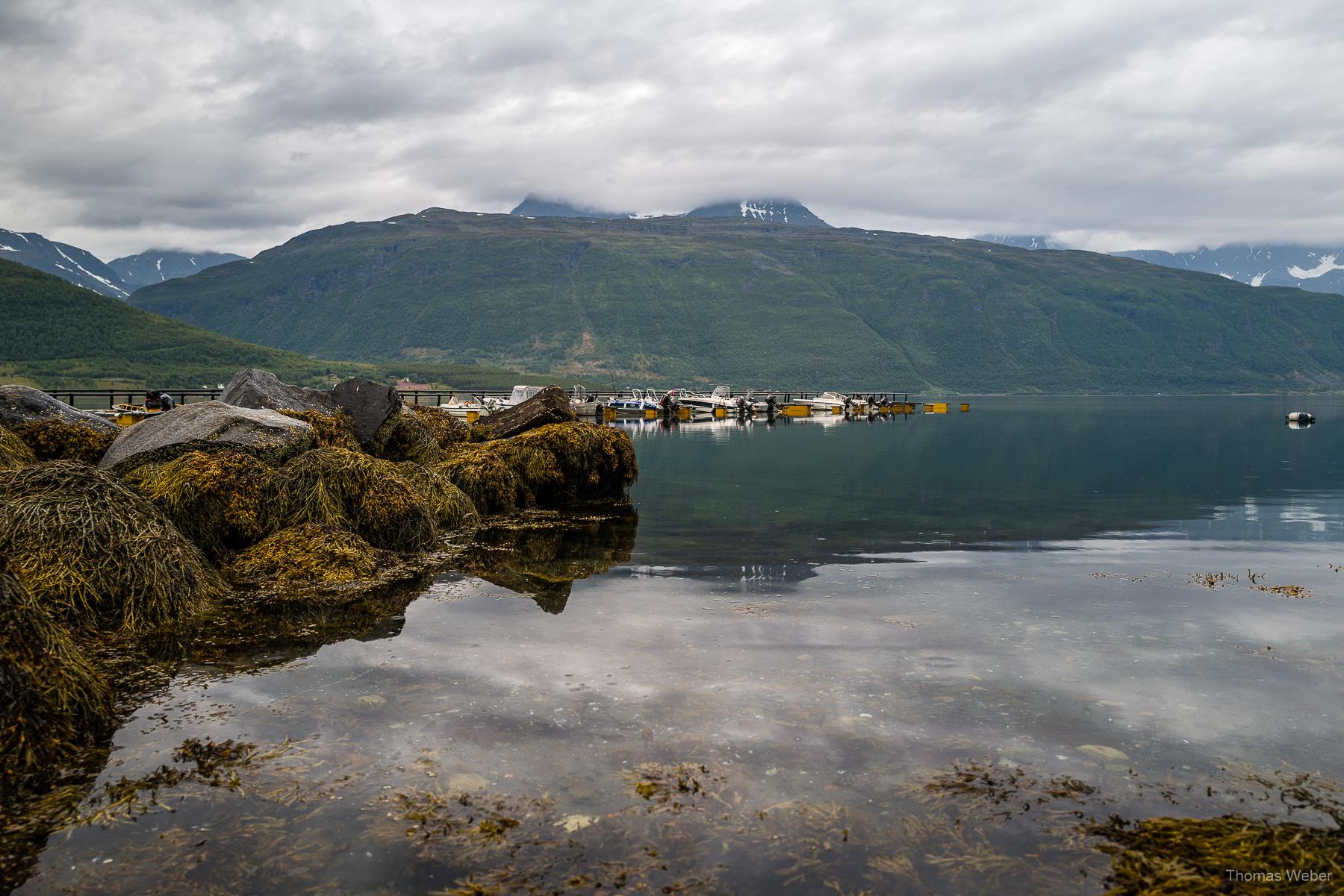 Die Insel Senja in Norwegen, Thomas Weber, Fotograf Oldenburg