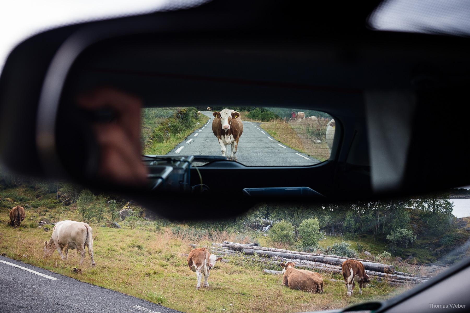 Roadtrip auf die Lofoten in Norwegen, Thomas Weber, Fotograf Oldenburg