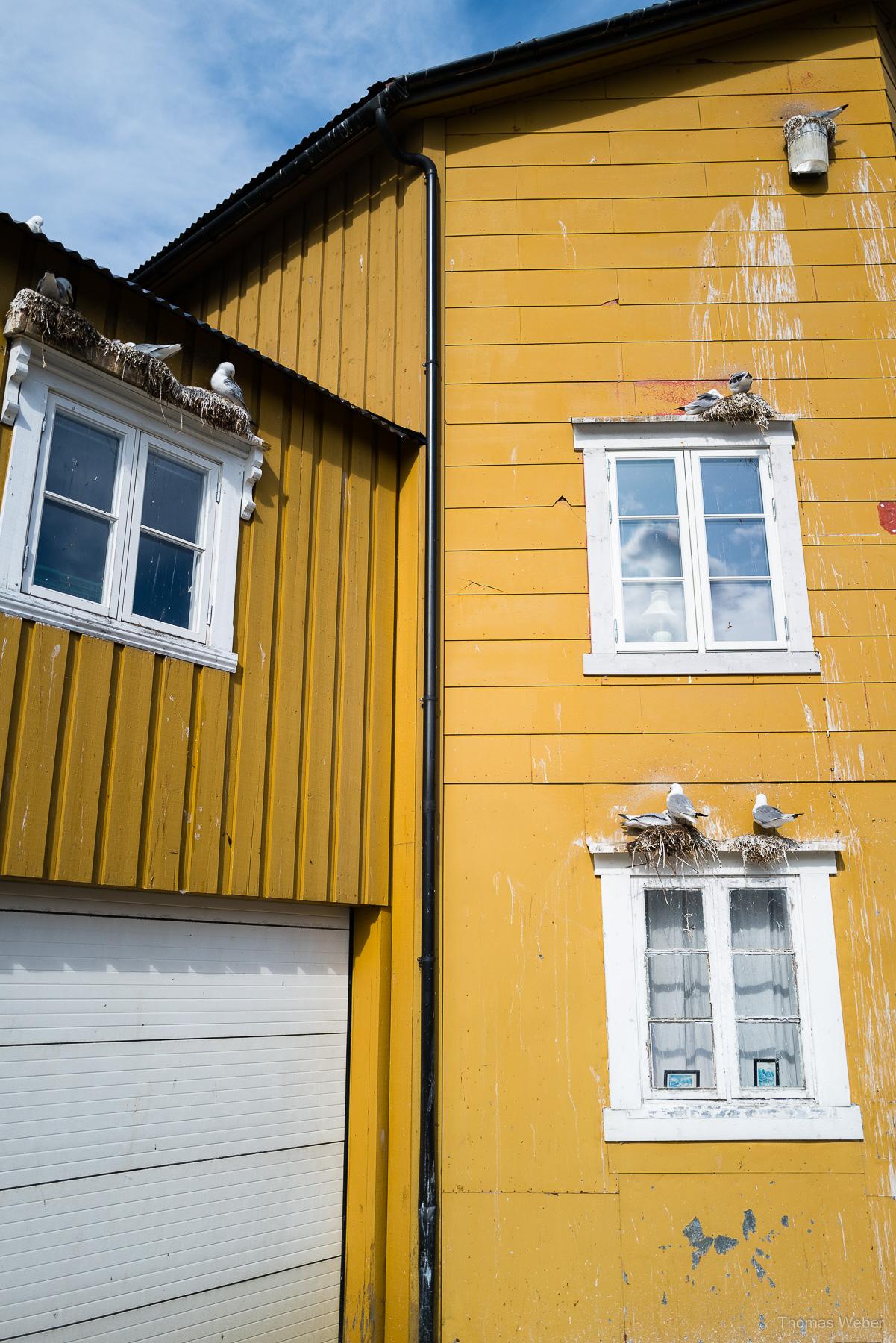 Roadtrip auf die Lofoten in Norwegen, Thomas Weber, Fotograf Oldenburg