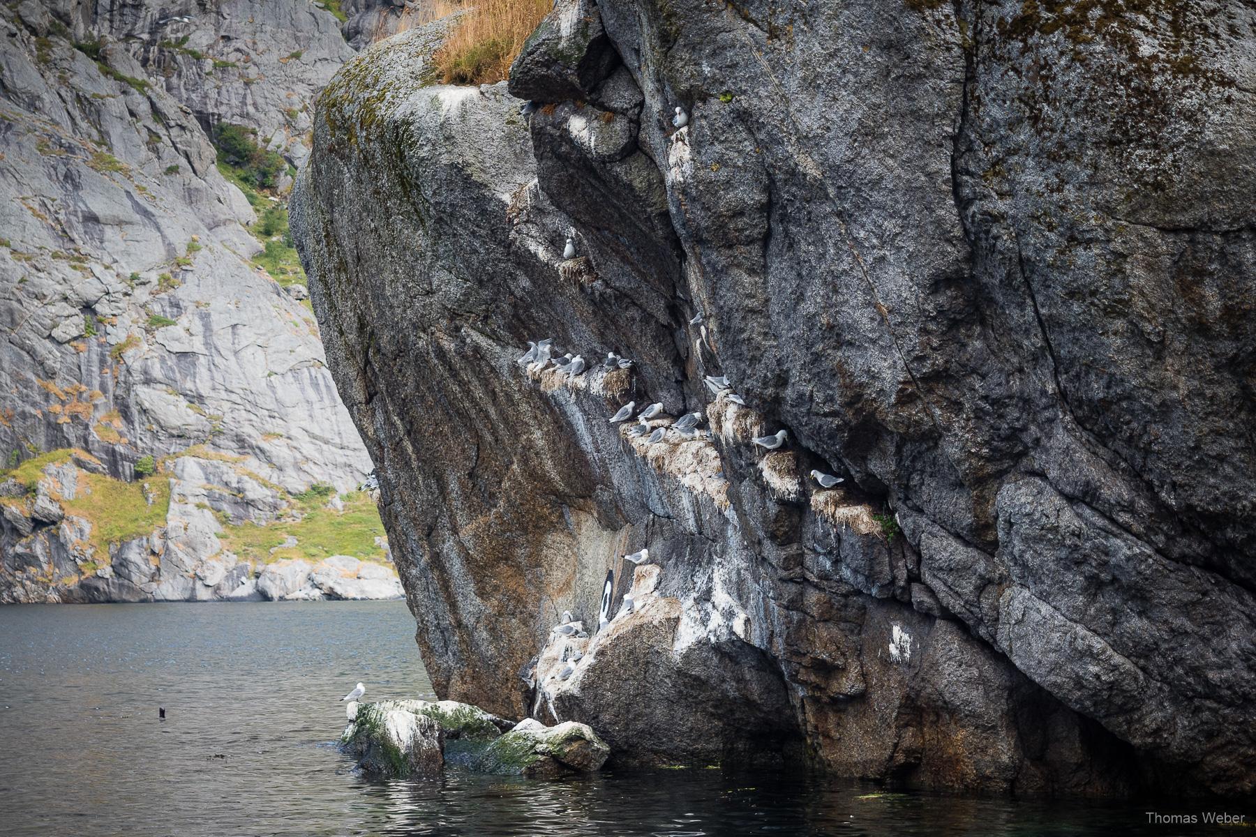 Roadtrip auf die Lofoten in Norwegen, Thomas Weber, Fotograf Oldenburg