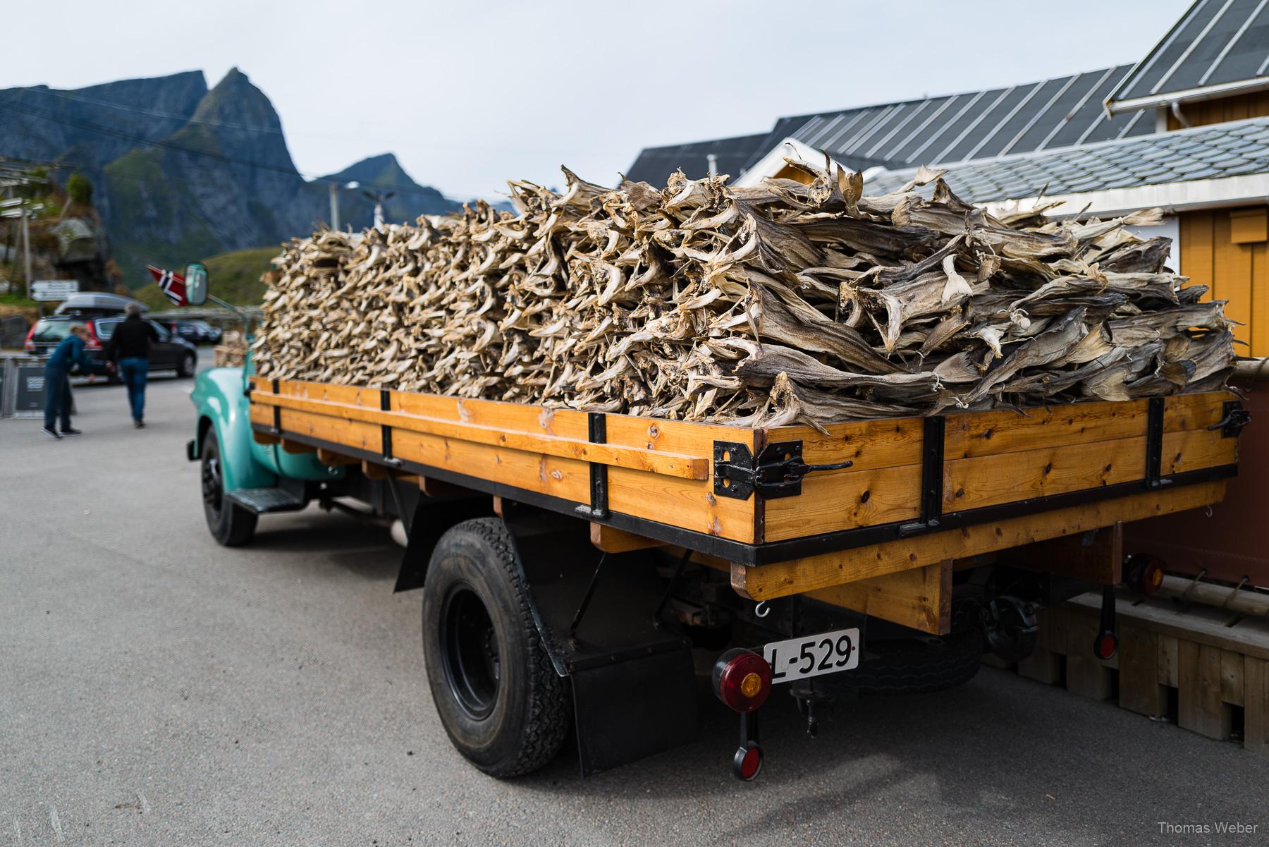 Roadtrip auf die Lofoten in Norwegen, Thomas Weber, Fotograf Oldenburg