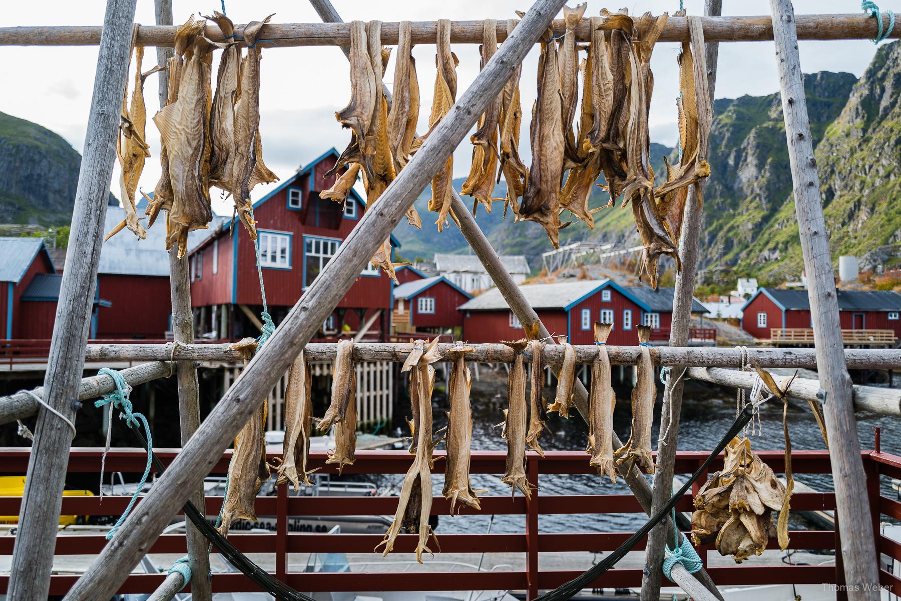 Roadtrip auf die Lofoten in Norwegen, Thomas Weber, Fotograf Oldenburg