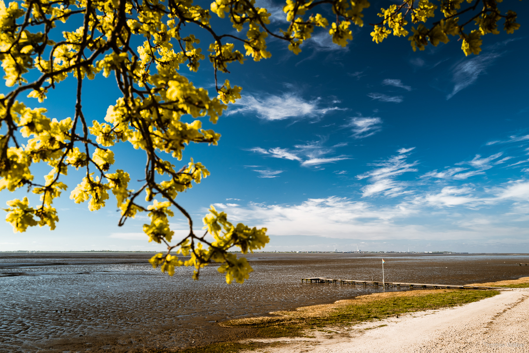 Die Strandbar Pricke in Dangast (Varel), Fotograf Thomas Weber aus Oldenburg