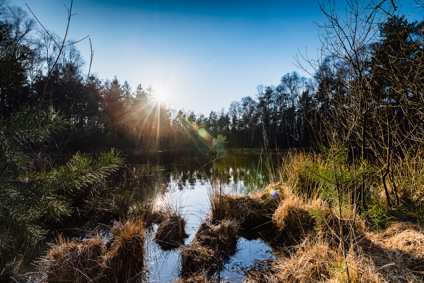 Naturfotos im Winter, Fotograf Thomas Weber aus Oldenburg