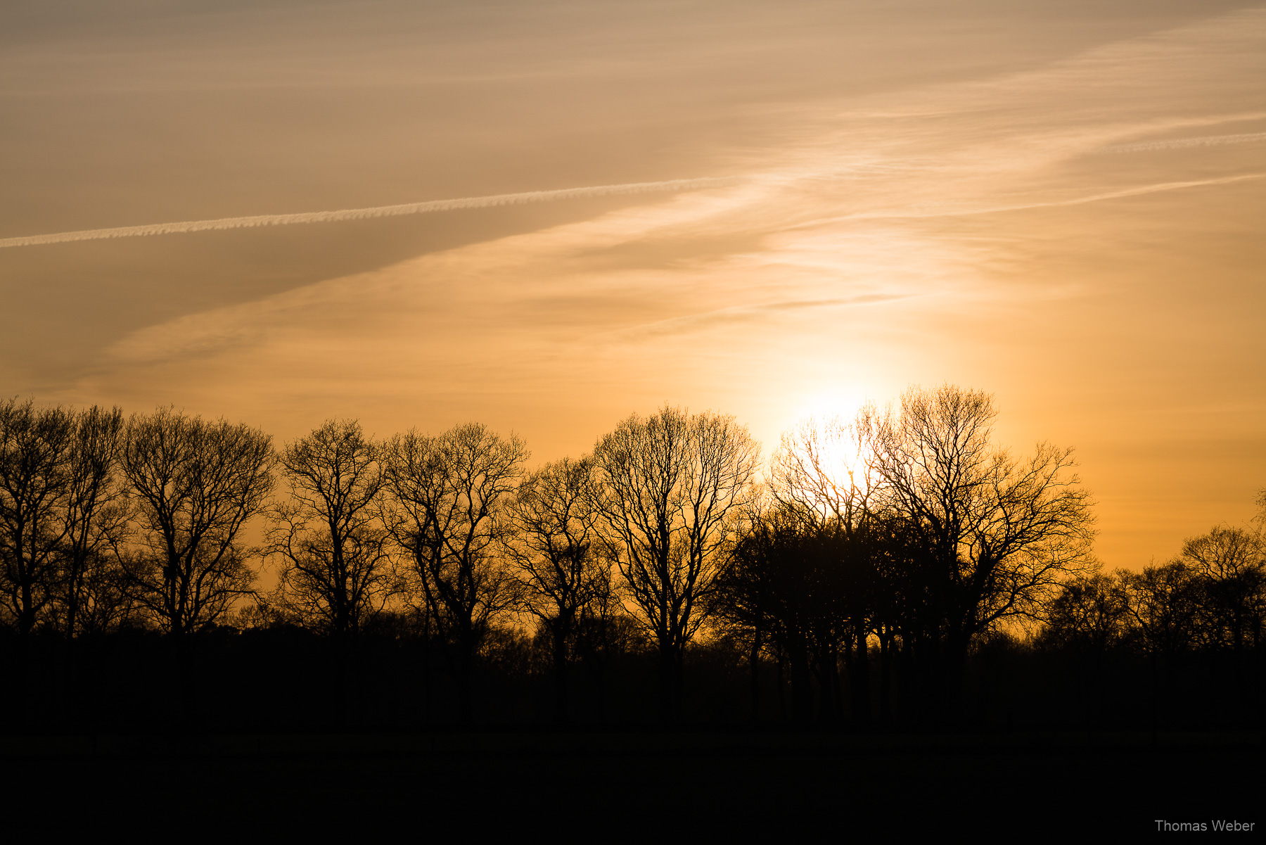 Naturfotos im Winter, Fotograf Oldenburg, Thomas Weber