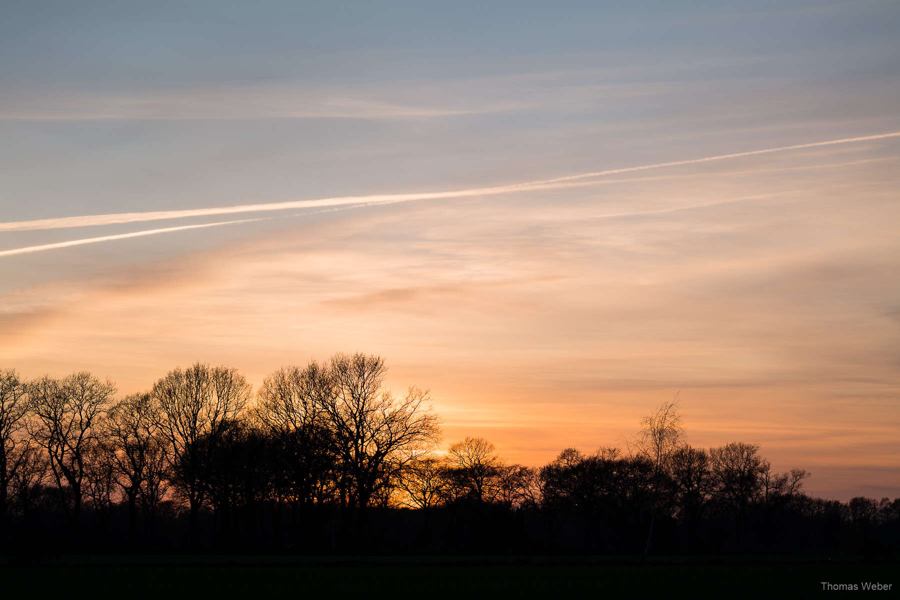 Naturfotos im Winter, Fotograf Oldenburg, Thomas Weber