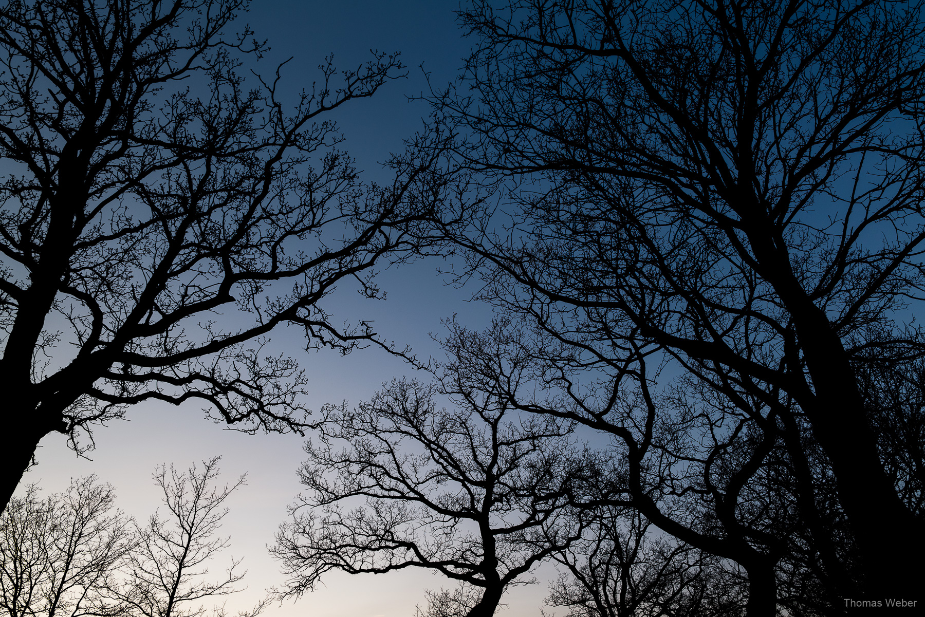 Naturfotos im Winter, Fotograf Oldenburg, Thomas Weber