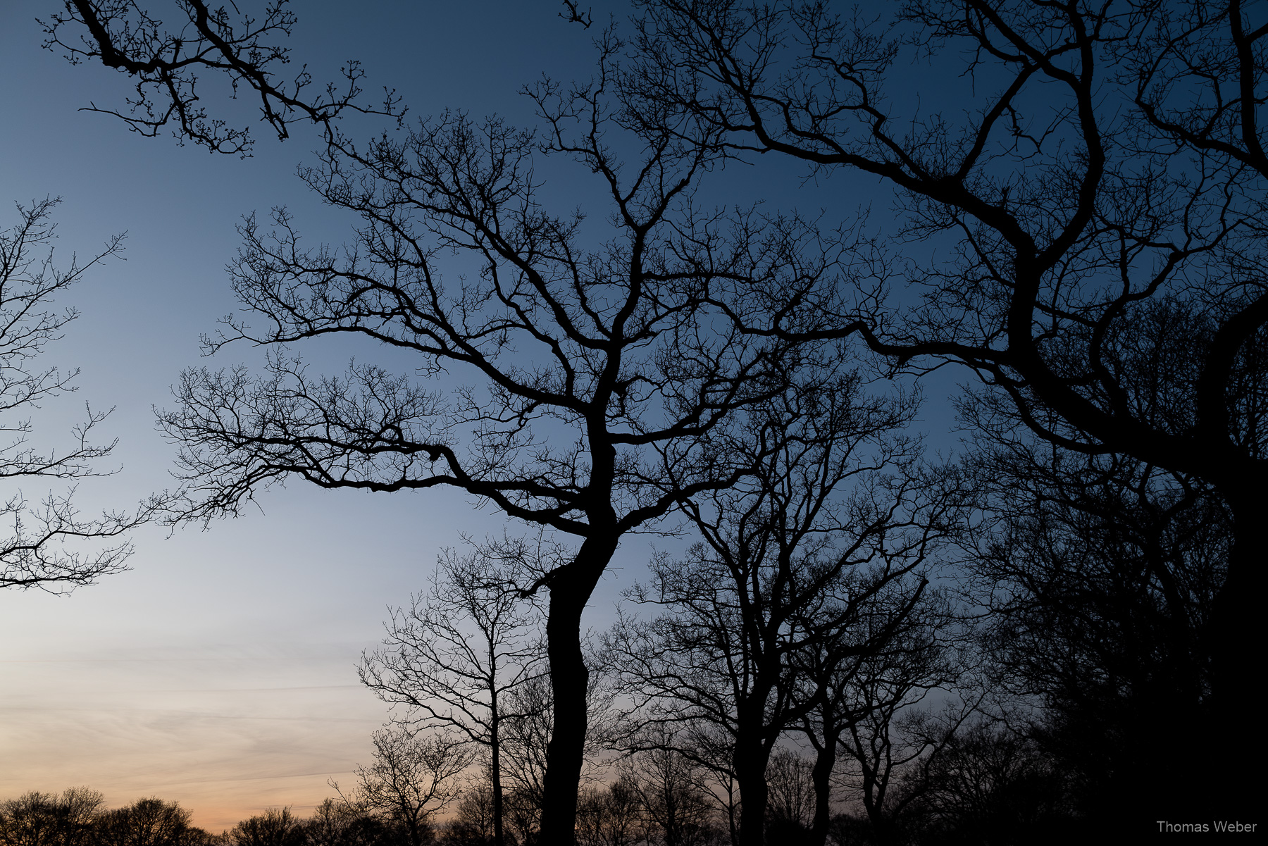 Naturfotos im Winter, Fotograf Oldenburg, Thomas Weber