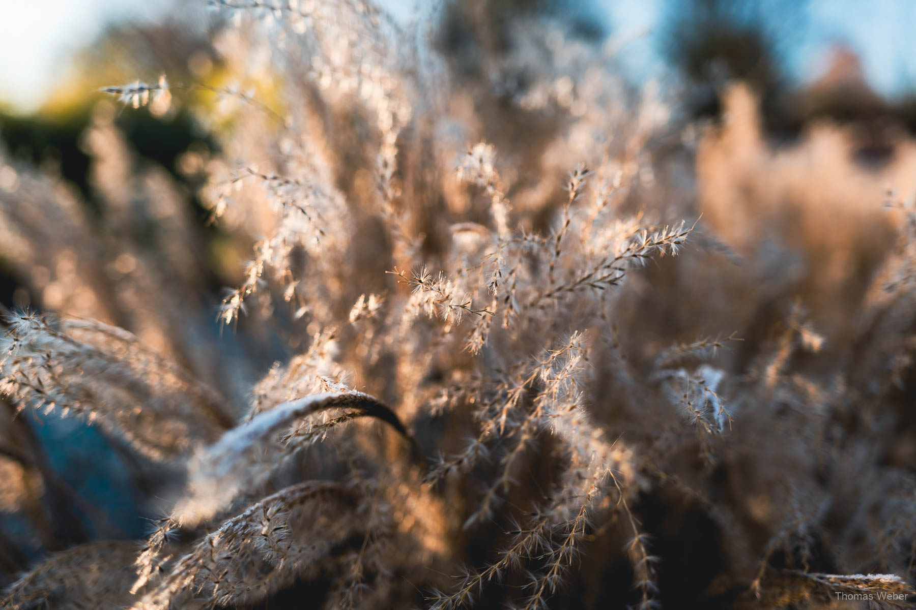 Winter im Tierpark Berlin, Fotograf Thomas Weber aus Oldenburg