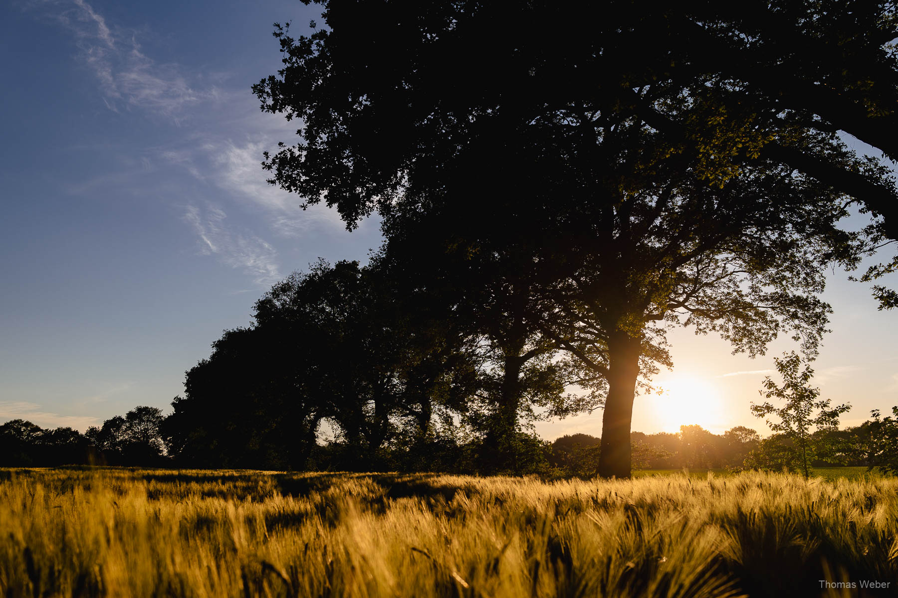 Spätsommer in Oldenburg, Fotograf Thomas Weber