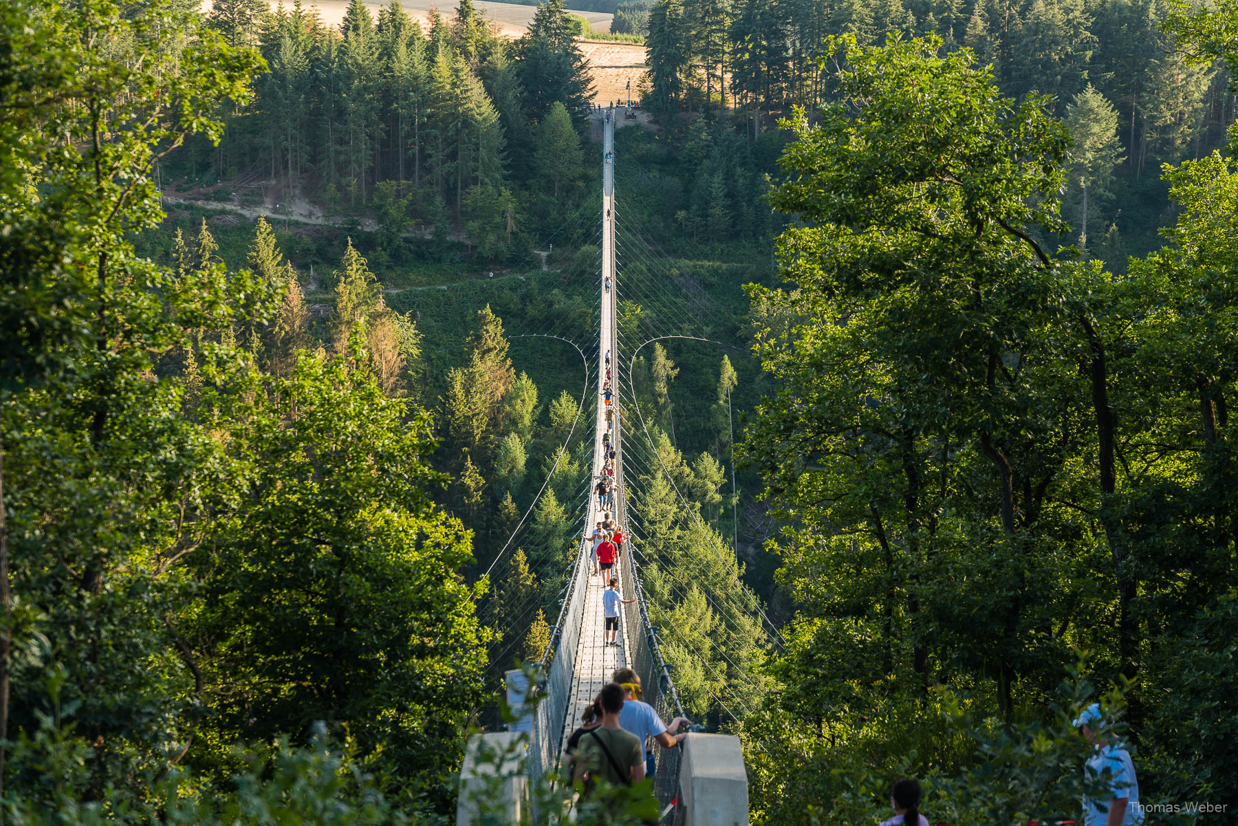 Geierlay Hängeseilbrücke zwischen Mörsdorf und Sosberg, Fotograf Thomas Weber aus Oldenburg