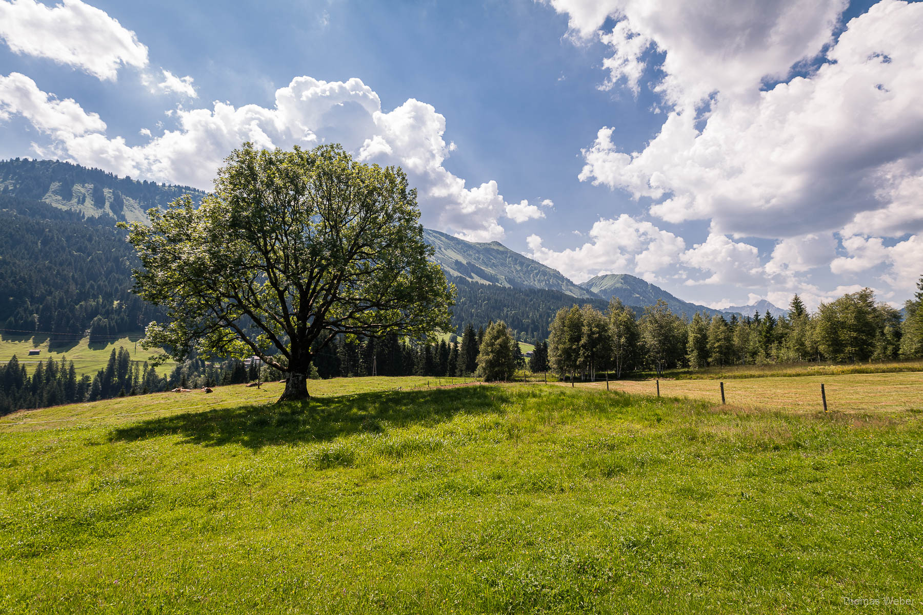 Breitachklamm auf der Rundreise durch Deutschland, Fotograf Thomas Weber aus Oldenburg