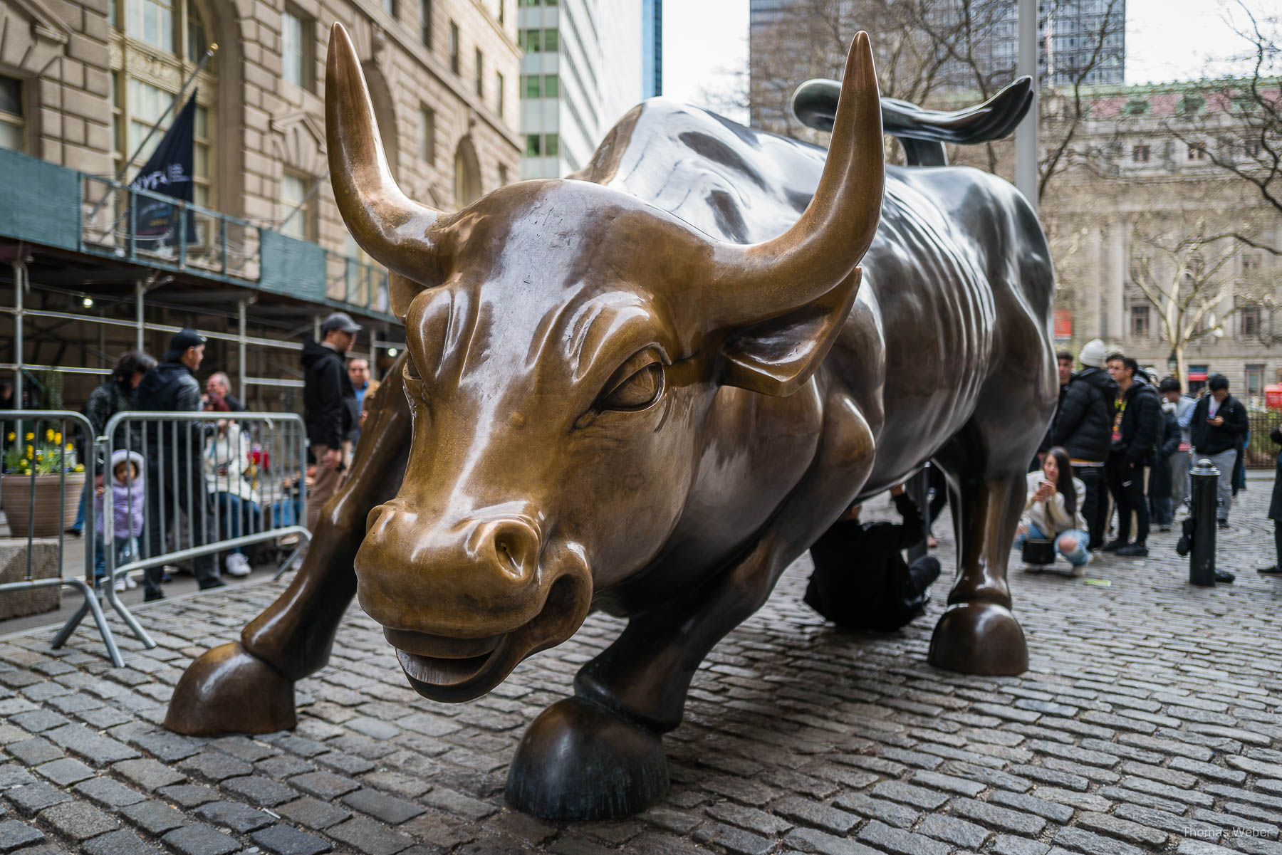 Der Charging Bull an der Walltreet in New York City, USA, Thomas Weber, Fotograf in Oldenburg