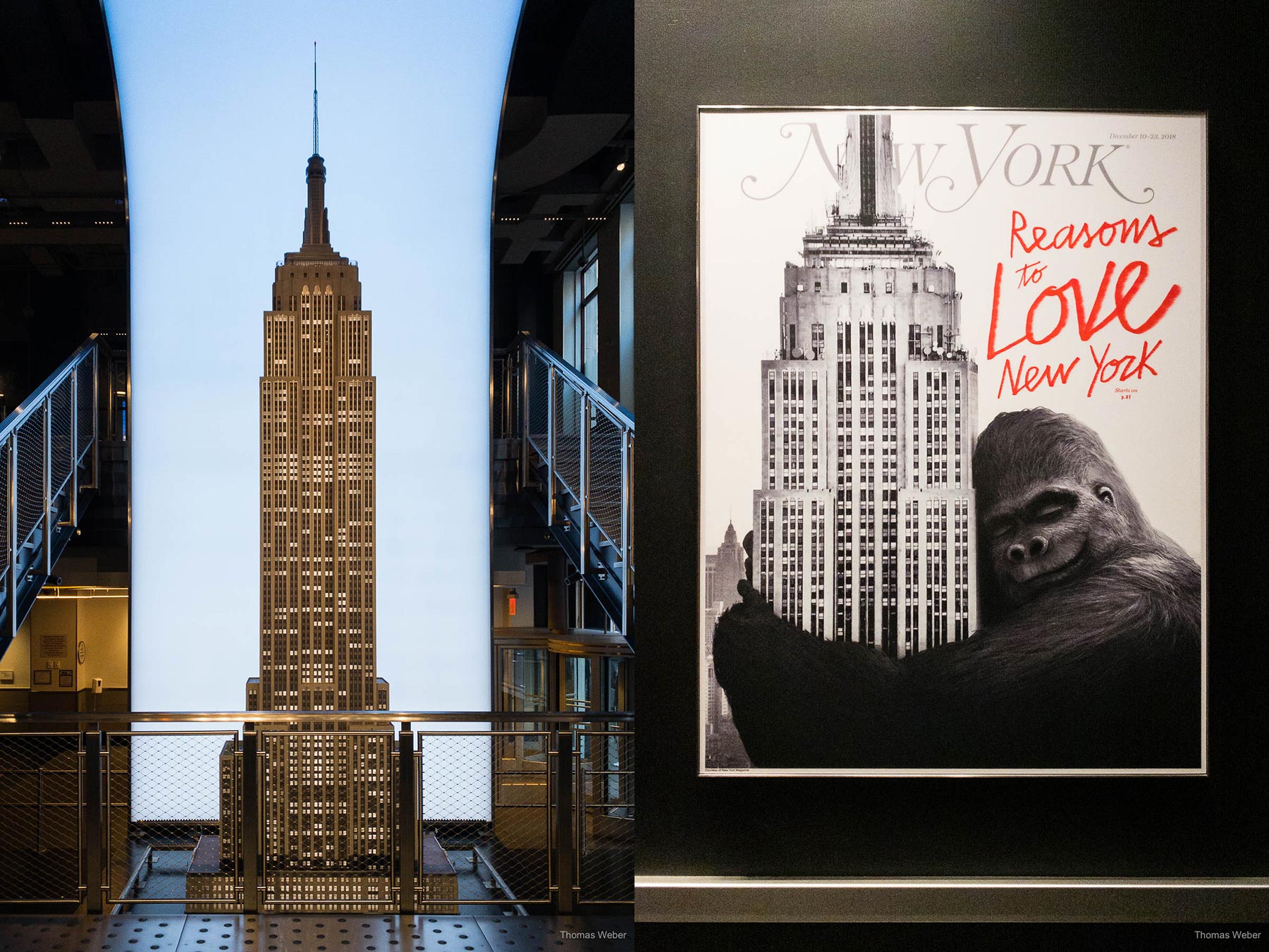 Blick vom Empire State Building über Manhattan bei Sonnenuntergang, New York City, USA, Fotograf Thomas Weber aus Oldenburg