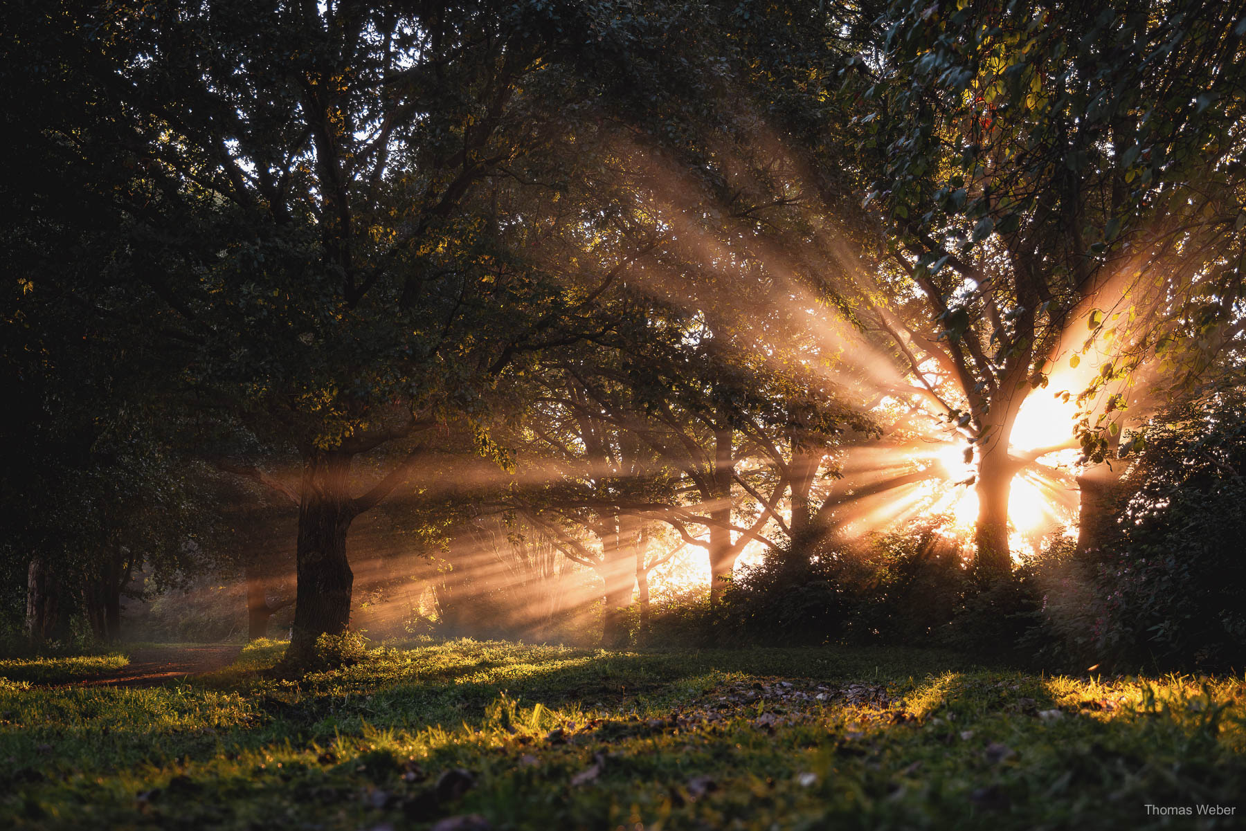 Fotograf Oldenburg, Thomas Weber, Naturfotos