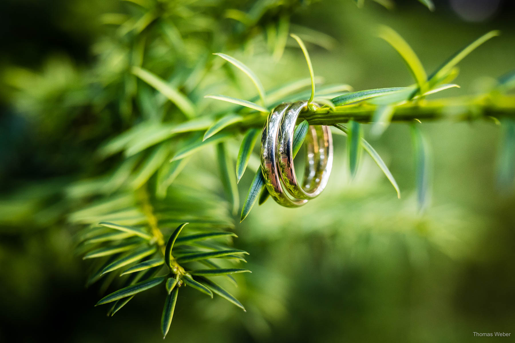 Hochzeit in Wildeshausen und Hochzeitsfeier in der Bullmühle Visbek, Thomas Weber, Fotograf Oldenburg