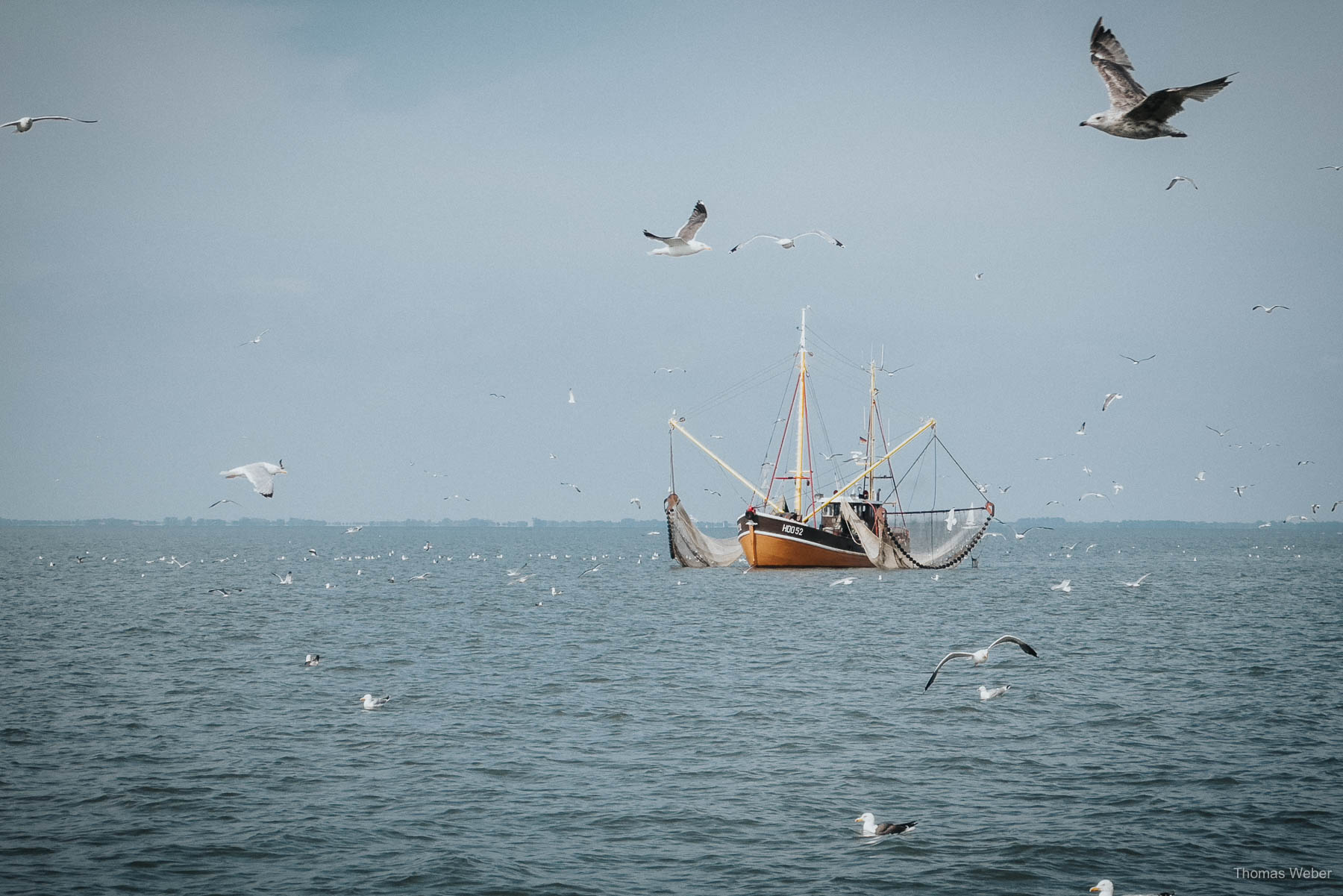 Als Krabbenfischer auf der Nordsee, Fotograf Thomas Weber aus Oldenburg