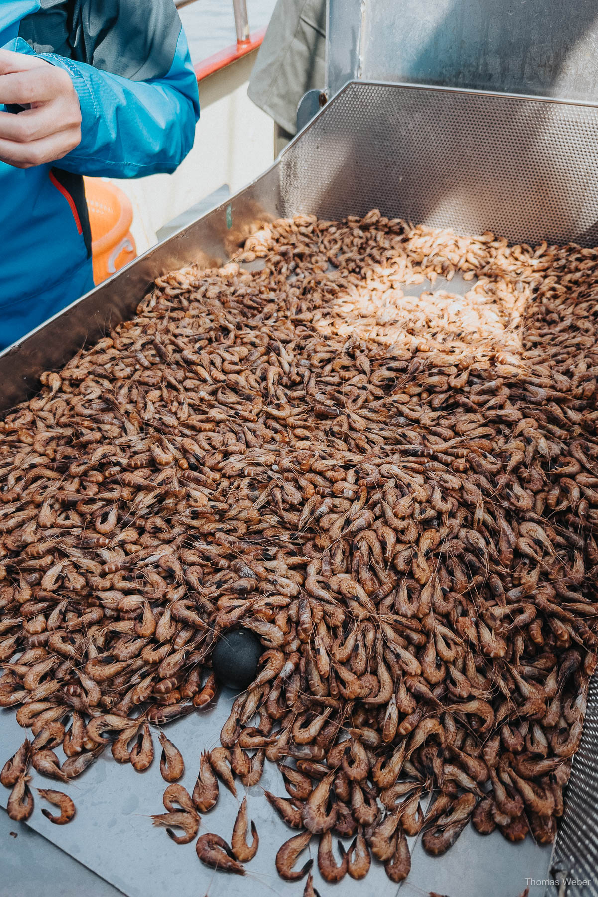 Als Krabbenfischer auf der Nordsee, Fotograf Thomas Weber aus Oldenburg