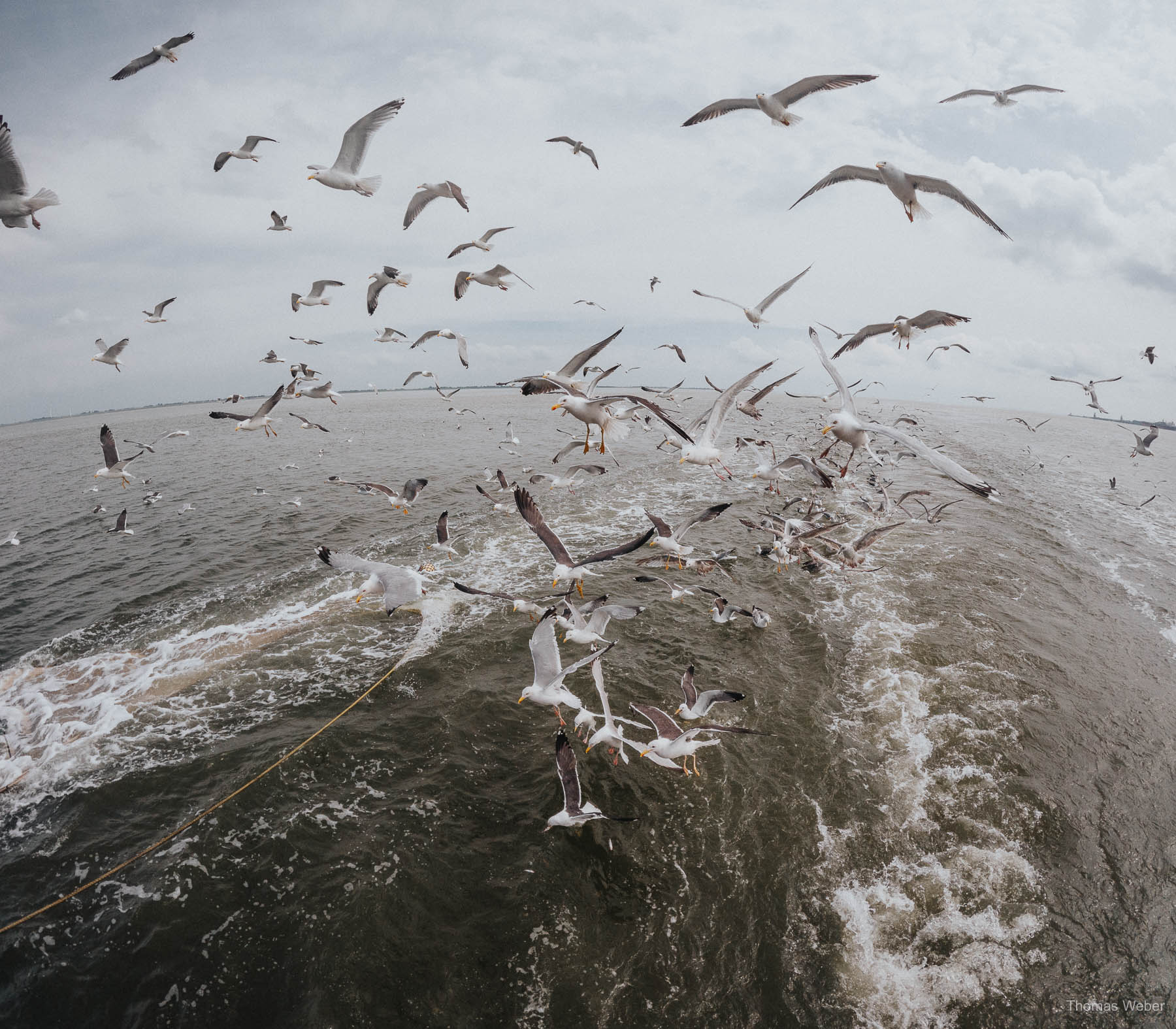 Als Krabbenfischer auf der Nordsee, Fotograf Thomas Weber aus Oldenburg