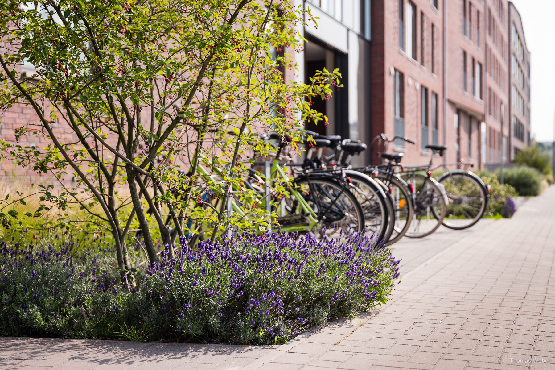 Architekturfotografie an der Oldenburger Hunte, das Quartier Havekant, Thomas Weber Architekturfotografie an der Oldenburger Hunte, das Quartier Havekant, Thomas Weber
